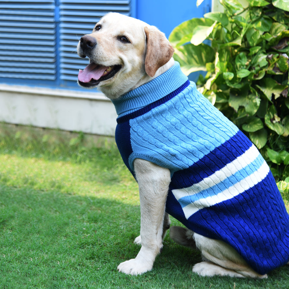 HUFT Striped Cable Knit Dog Sweater - Navy S.jpg
