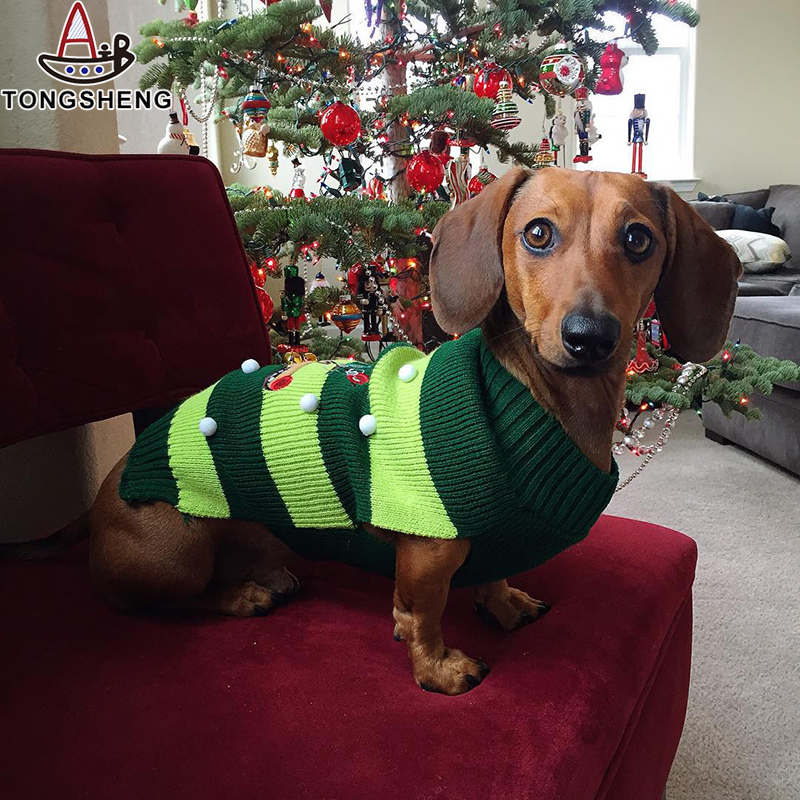 Dogs wear pet Christmas sweaters to join us for Christmas.jpg